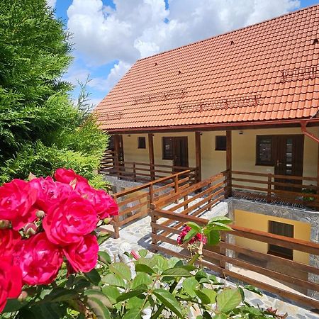 Matei Residence Braşov Dış mekan fotoğraf