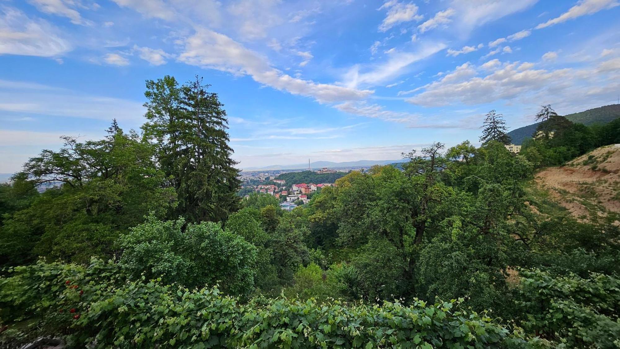 Matei Residence Braşov Dış mekan fotoğraf