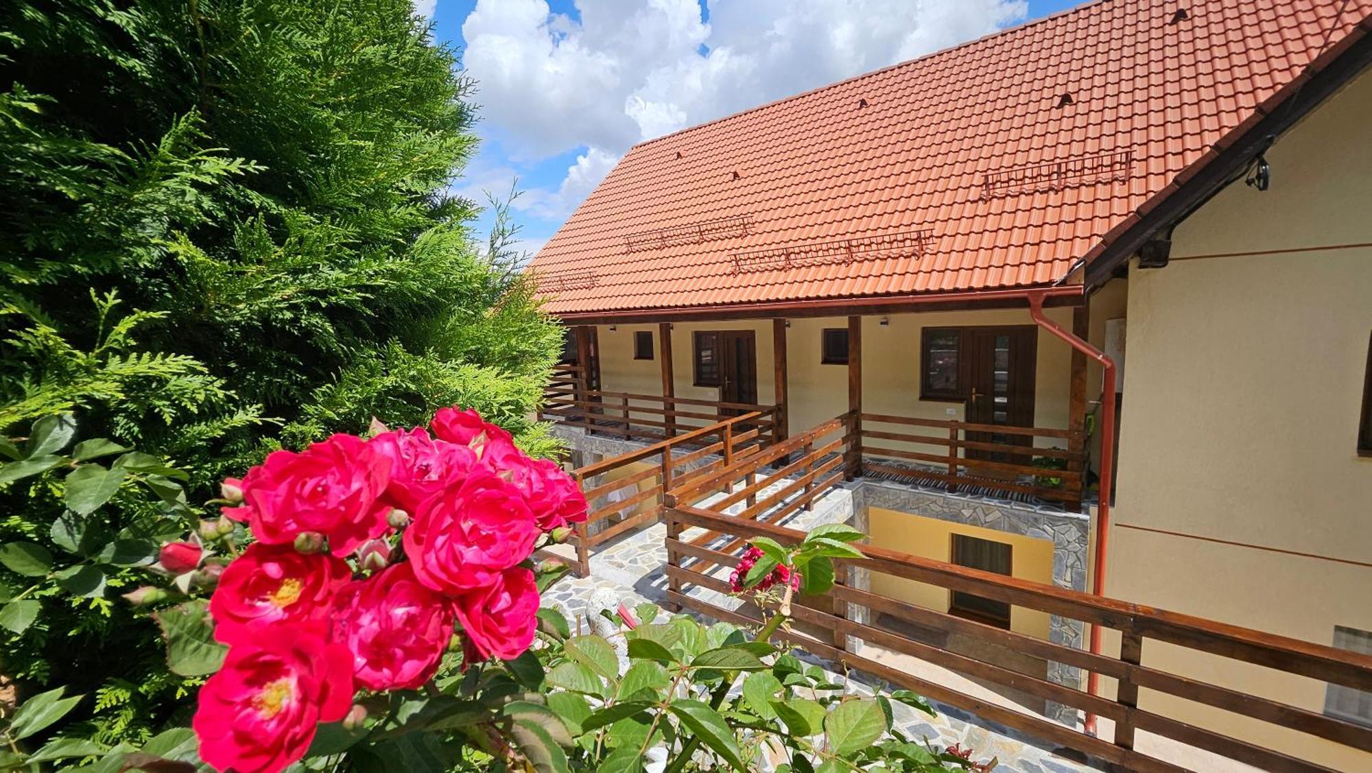Matei Residence Braşov Dış mekan fotoğraf