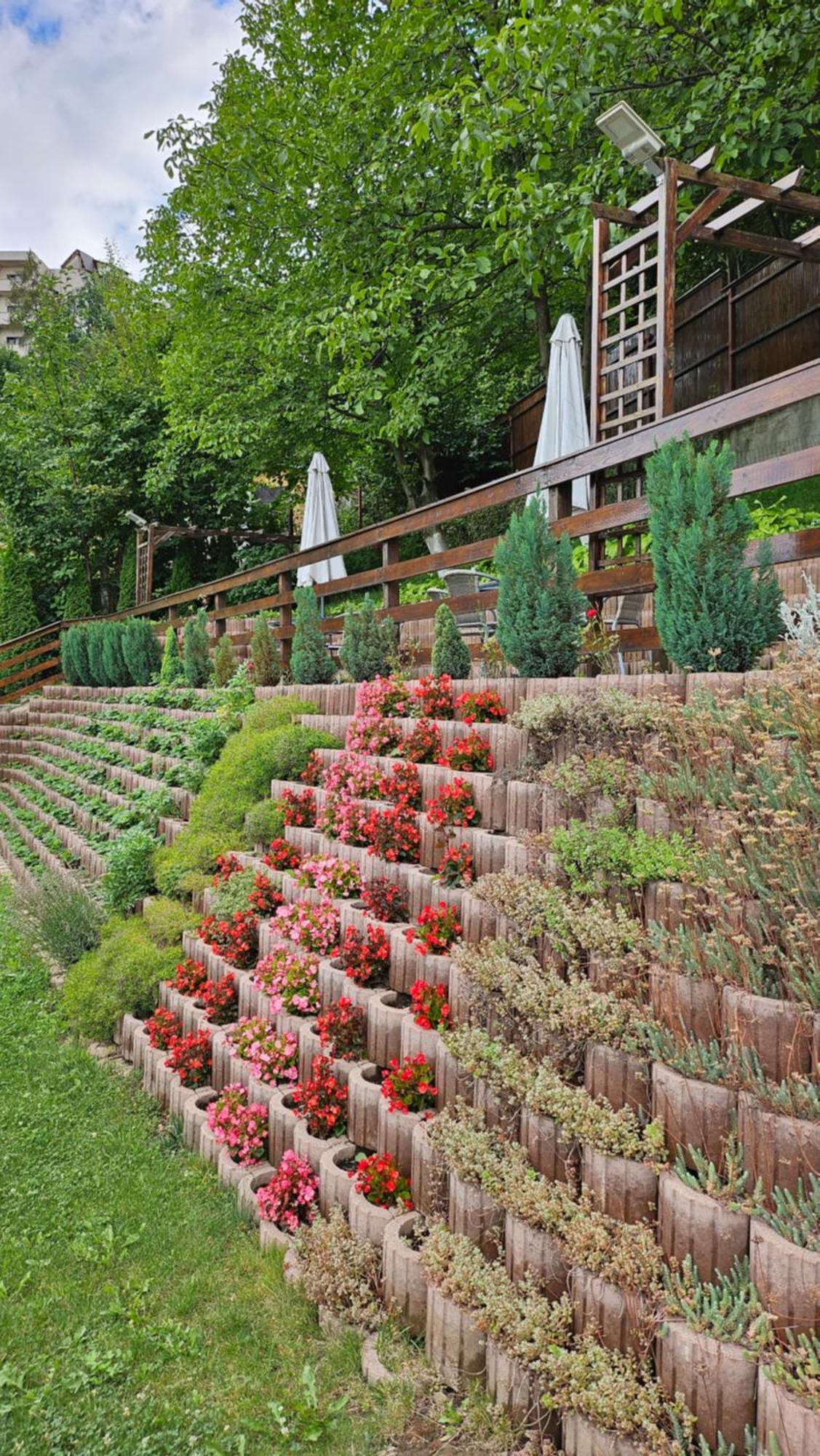 Matei Residence Braşov Dış mekan fotoğraf