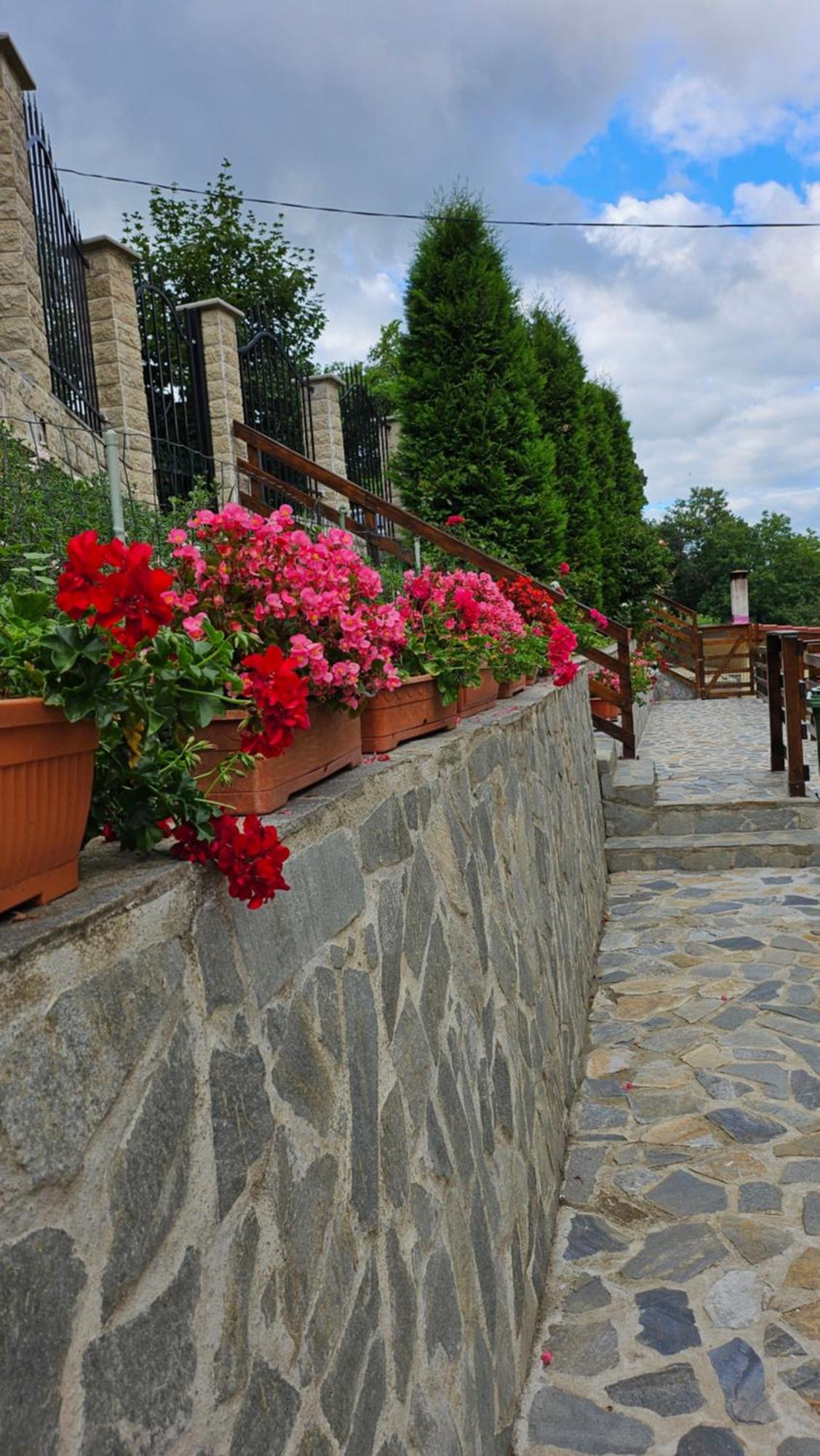 Matei Residence Braşov Dış mekan fotoğraf