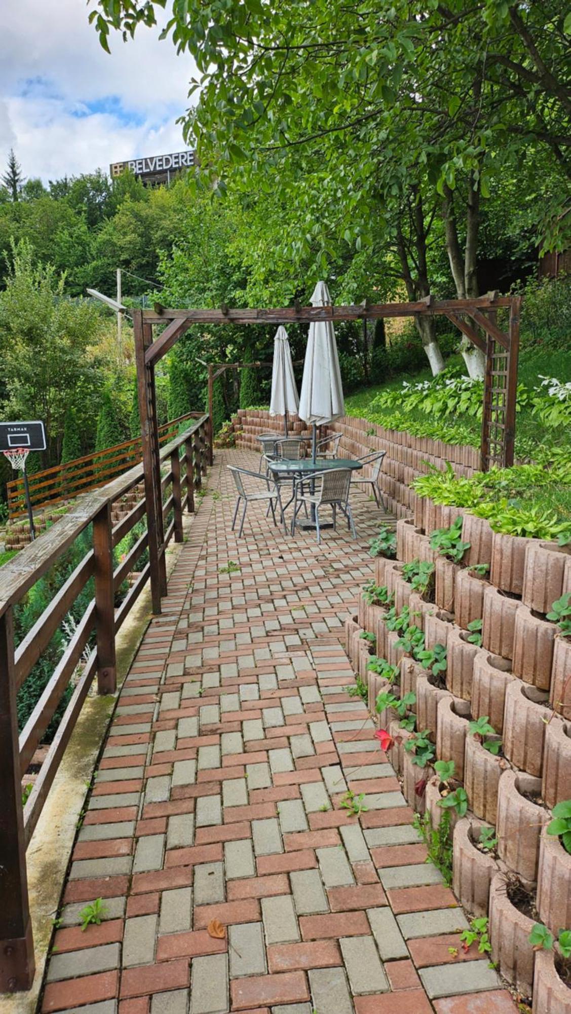 Matei Residence Braşov Dış mekan fotoğraf